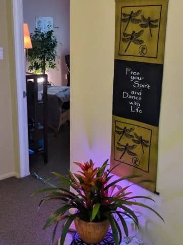 Trauma Chiropractor Salt Lake City, Utah