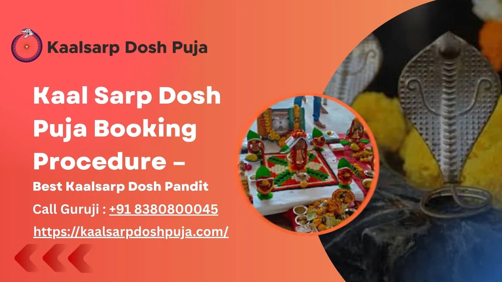 Kaal Sarp Dosh Puja Booking Procedure – Best Kaalsarp Dosh Pandit
