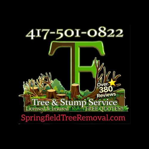 Stump Grinding & Removal Services in Springfield