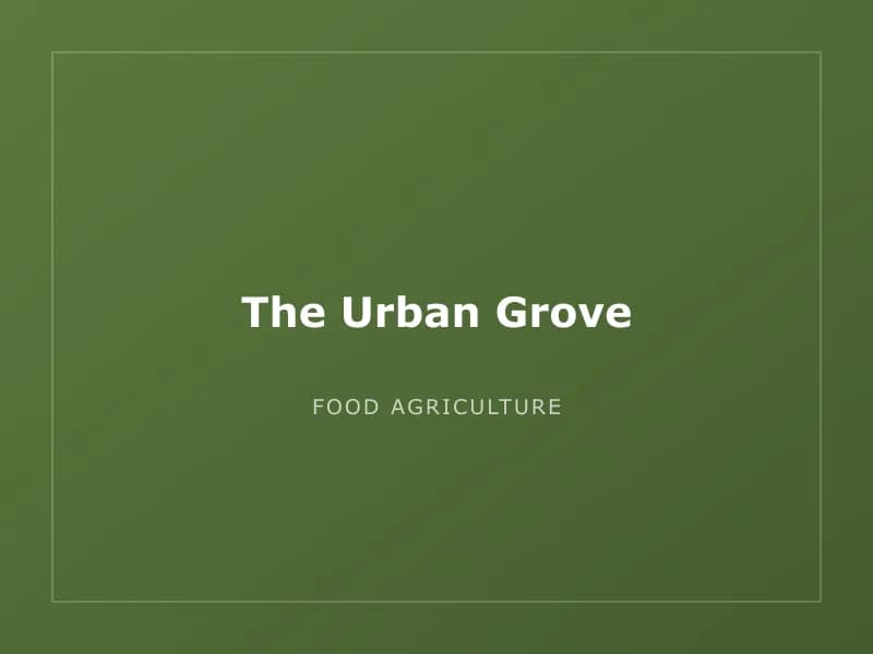 The Urban Grove