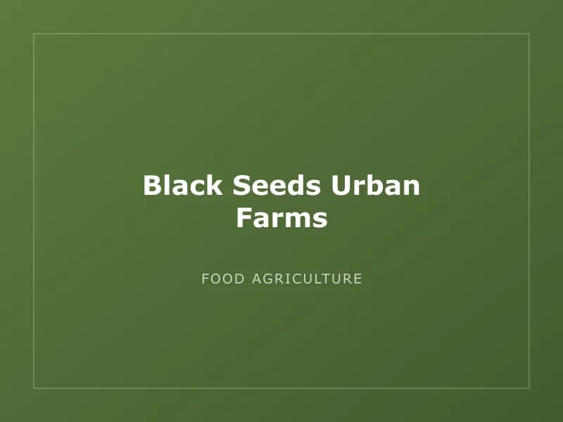 Black Seeds Urban Farms