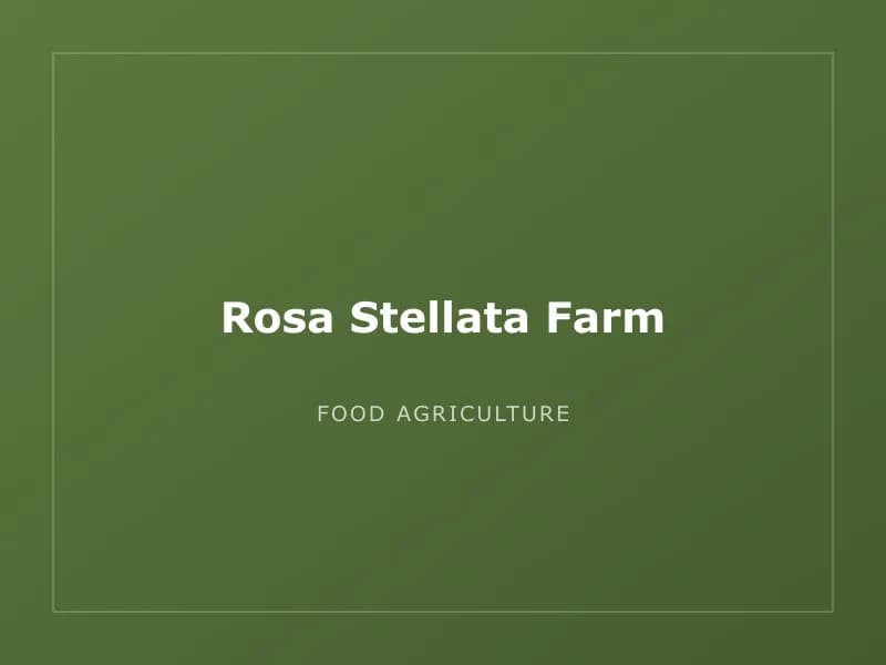 Rosa Stellata Farm