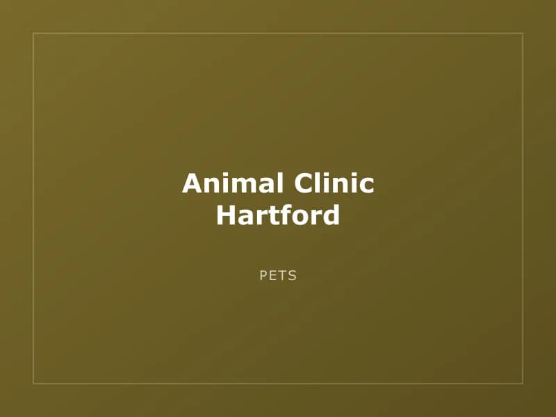 Animal Clinic Hartford