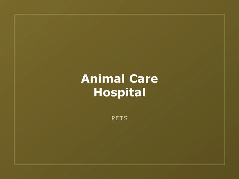Animal Care Hospital