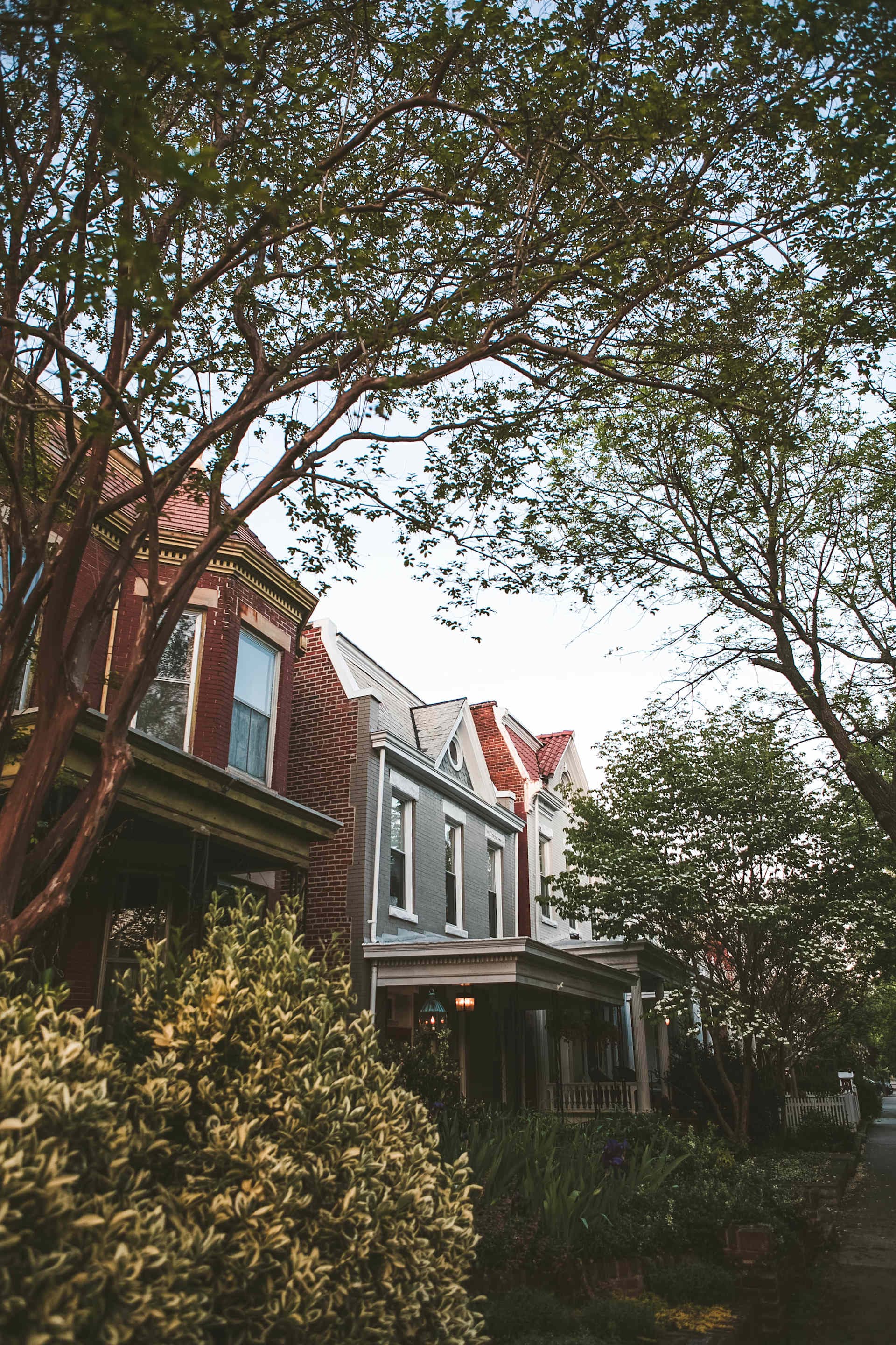 Graham Johnson - Coldwell Banker Avenues Real Estate