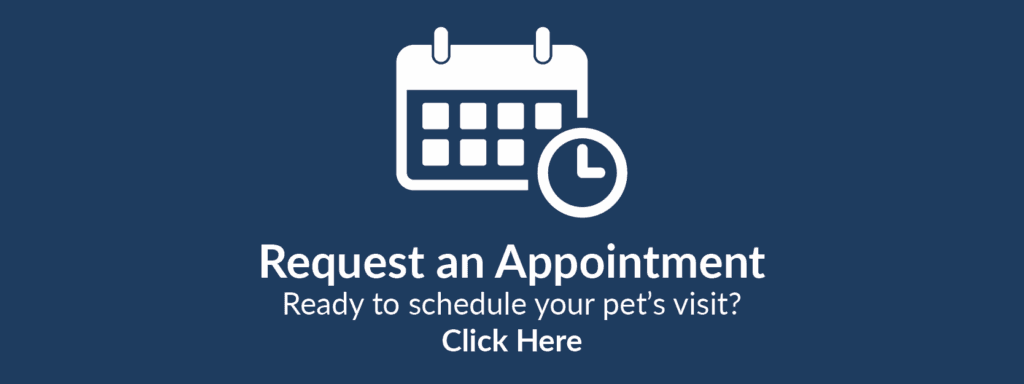 Stony Brook Animal Hospital
