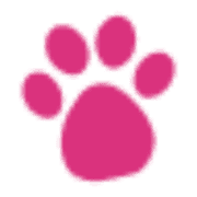 Woof Gang Bakery & Grooming El Paso