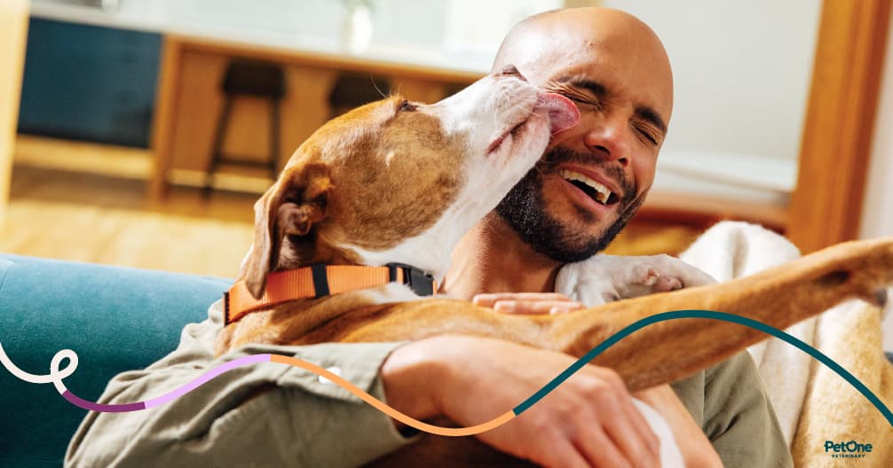 Hendricks Veterinary Hospital