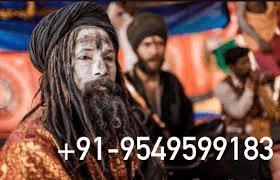 Get Your Love Back Astrologer Specialties Baba Ji