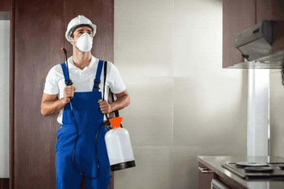 Pest Control Calgary