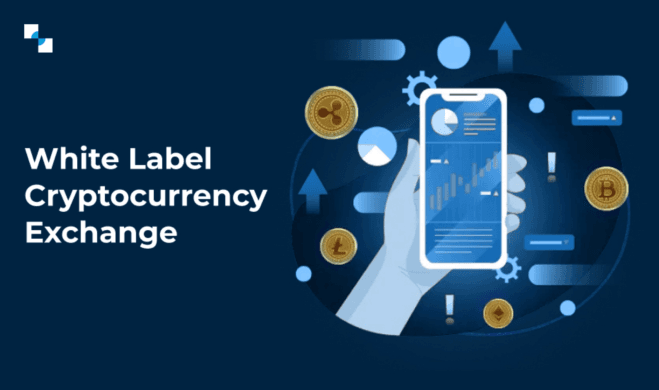 AI-Powered Cryptocurrency Exchange Software Development Company