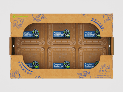 Fresh Fruit Carton Box – Made in China, Global Shipping, Customizable