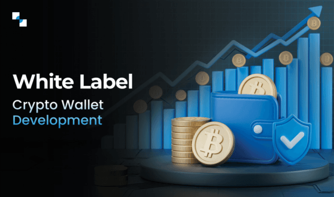 White Label Crypto Wallet Development: Gain The Trust Of Your Users