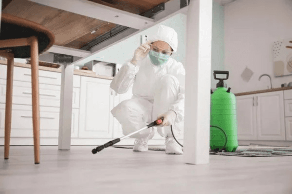 Pest Control Calgary