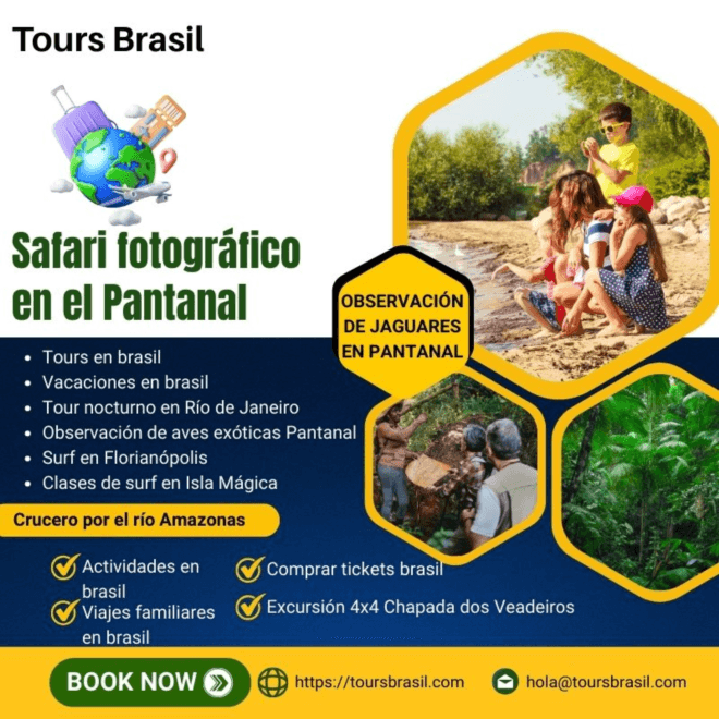 Planifica tus viajes familiares en Brasil con expertos