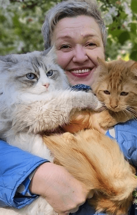 Buy Siberian Cats Online