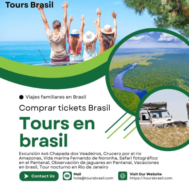 Explora la vida marina en Fernando de Noronha con expertos