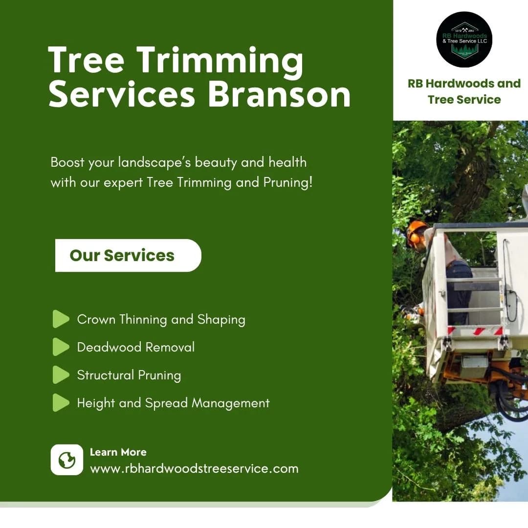 Branson Tree Trimming Experts | RB Hardwoods and Tree Service
