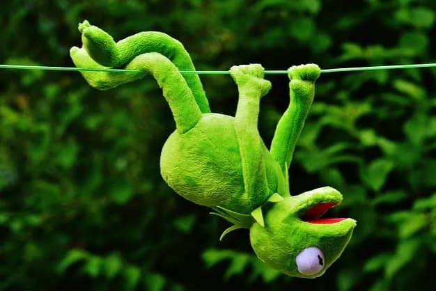It Ain't Easy Being Green!