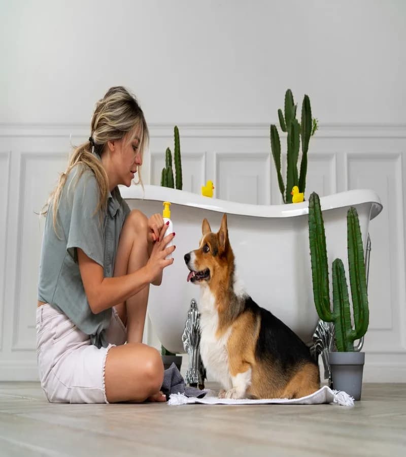30% OFF Pet Hygiene Supplies – Use Code JULYBF30