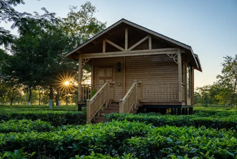 Assam Luxury Resorts