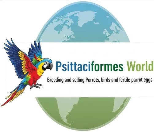 Buy Fertile Parrot Eggs & Ostrich Eggs for Sale.