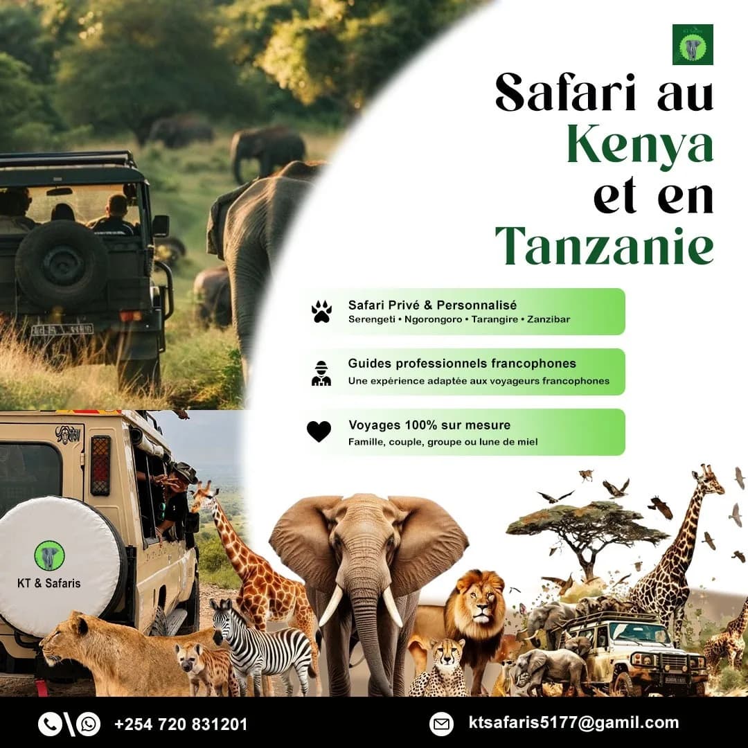 Safari Privé Kenya Tanzanie avec Guide Francophone