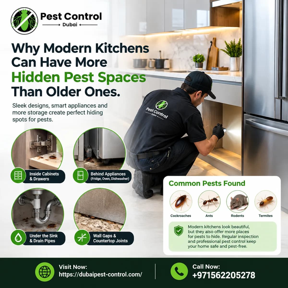 Why Modern Kitchens Can Have More Hidden Pest Spaces Than Older Ones