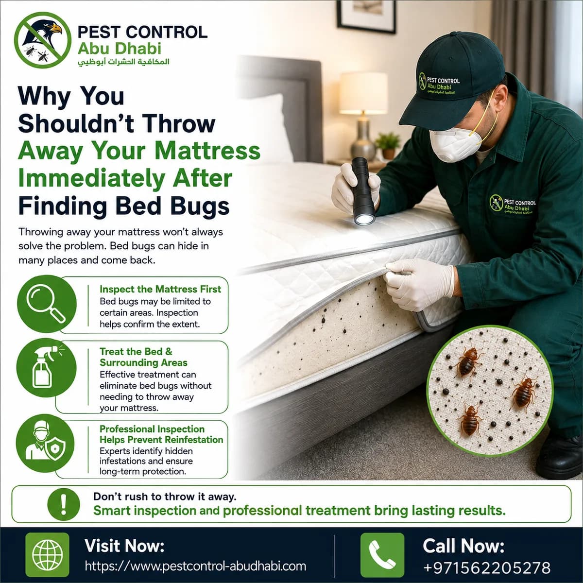Why You Shouldn’t Throw Away Your Mattress Immediately After Finding Bed Bugs