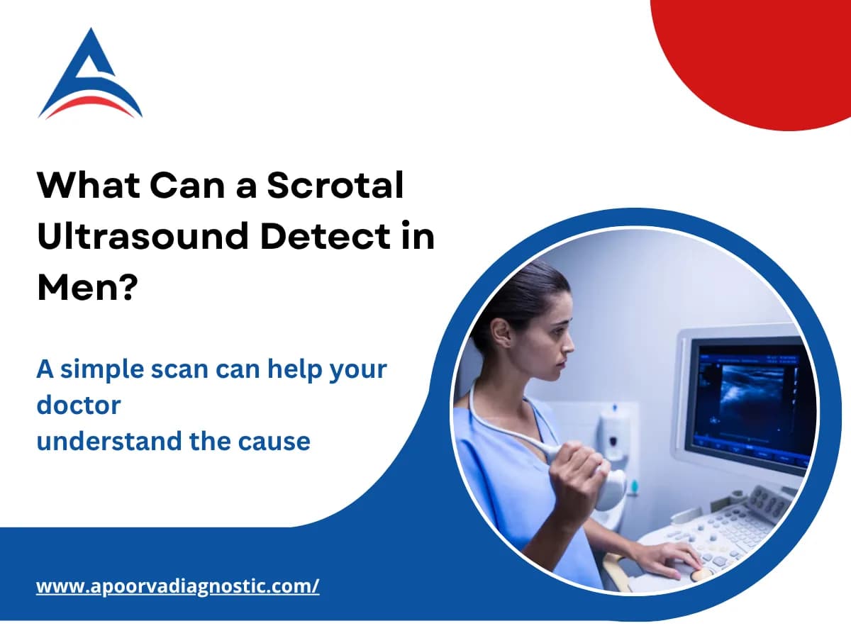 What Can a Scrotal Ultrasound Detect in Men?