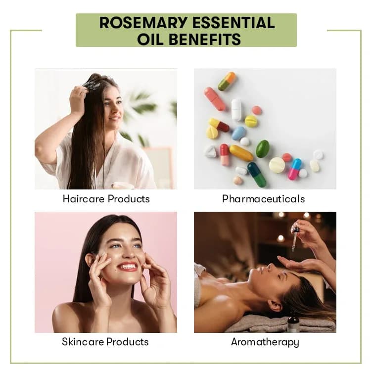 Buy rosemary essential oil online with 10 % off