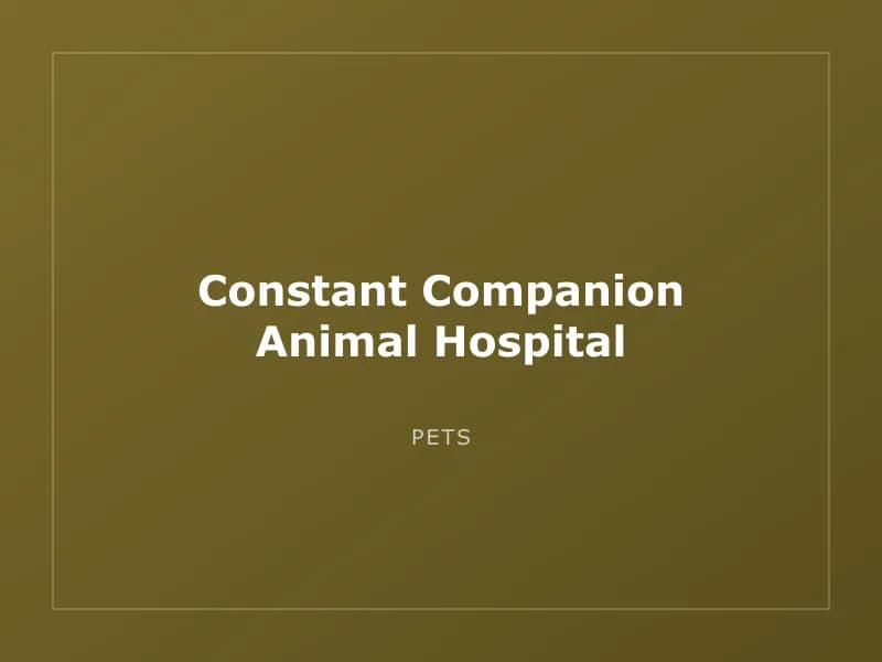 Constant Companion Animal Hospital